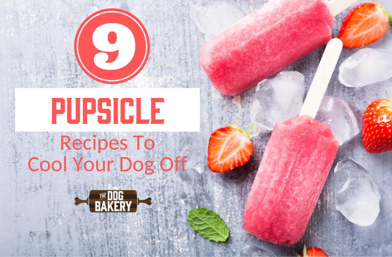 A  Summer Favourite: Chicken And Apple Pupsicles