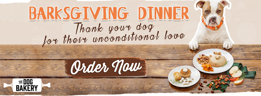 Recipes for a Safe & Healthy Thanksgiving Dinner for Your Dog