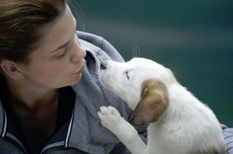 Easy (and Unexpected) Ways Pet Parents Can Take Care of Their Dog's Health