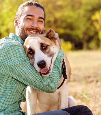 Can Coconut Oil Improve My Dog's Health