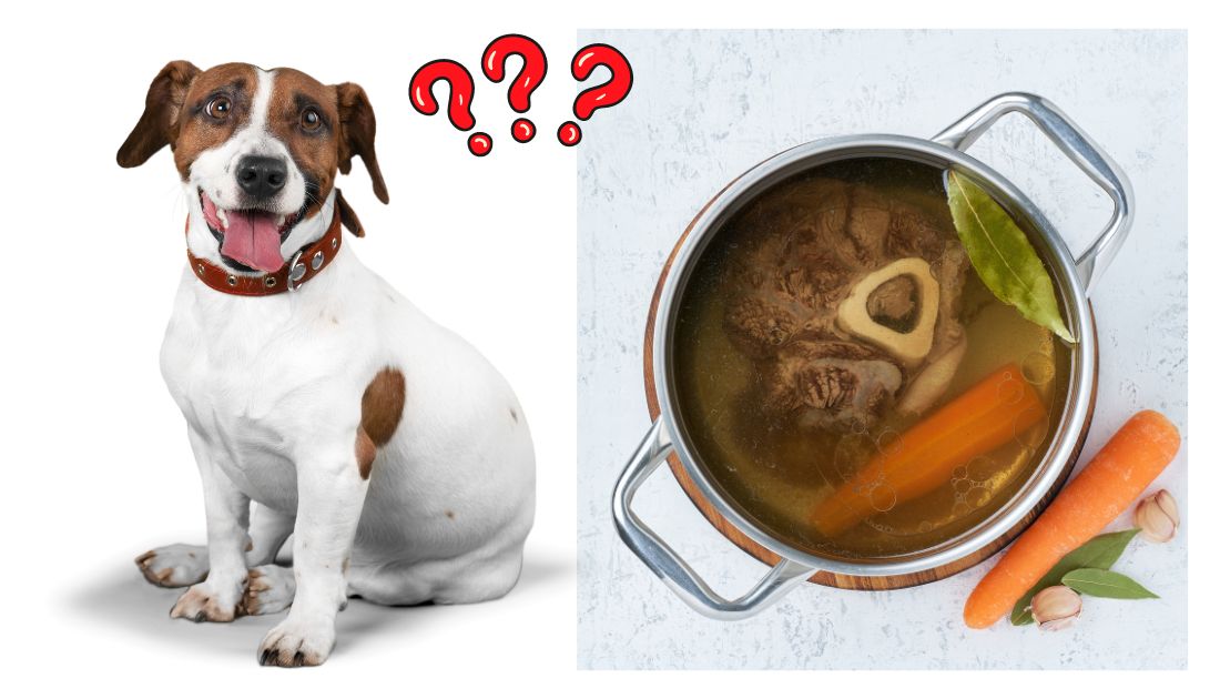 Make chicken bone broth for your allergic dog with these easy steps