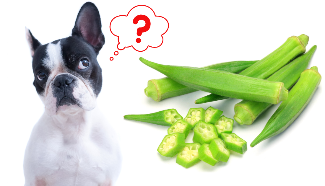 Can Dogs Eat Okra?