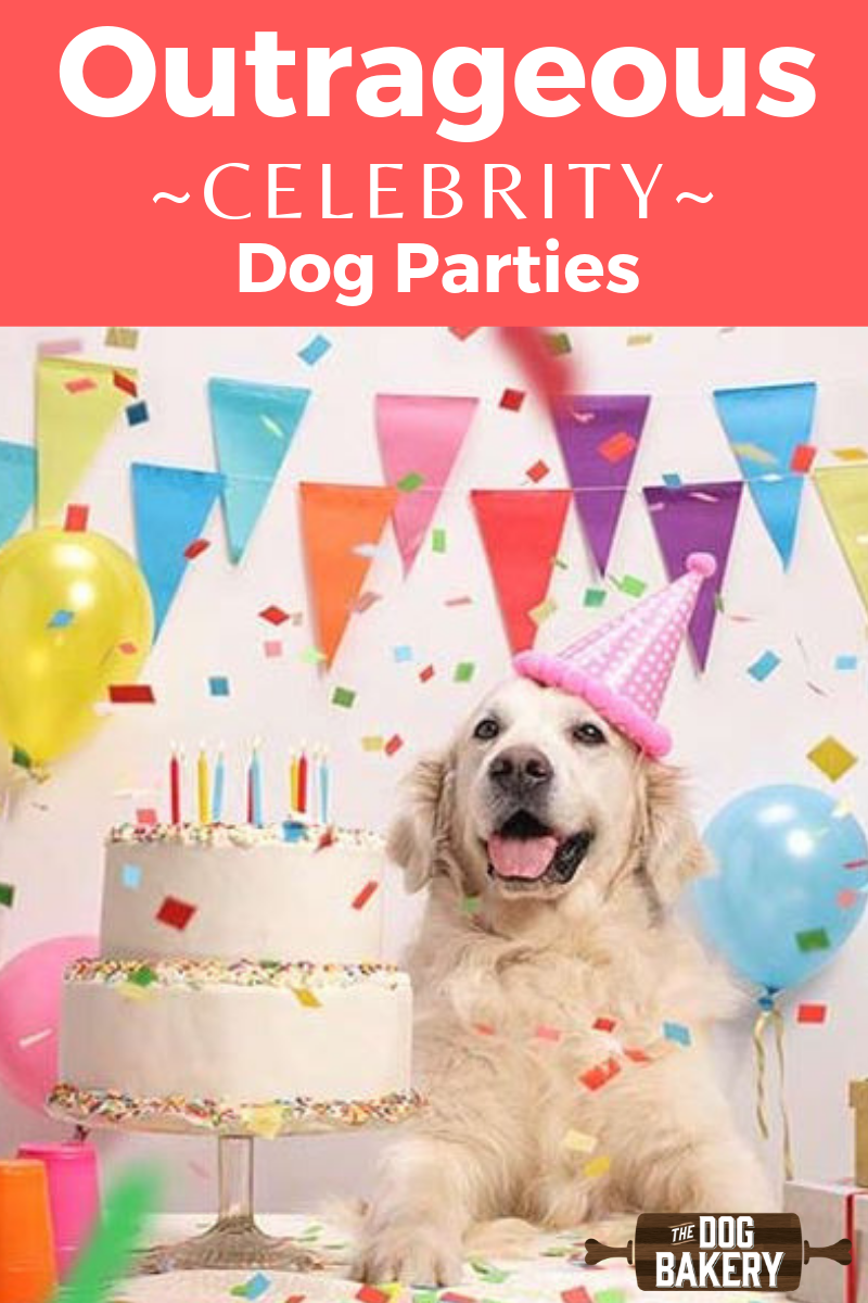 6 Outrageous Celebrity Dog Birthday Parties