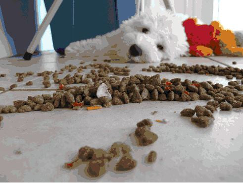 Kibble, Dog Food, Animal Feed - The FDA Finally Cracks Down