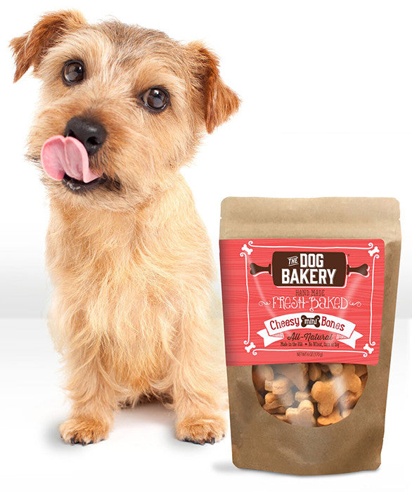 Holistic Dog Foods: Because We Love Them