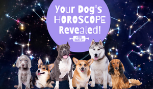 https://www.thedogbakery.com/cdn/shop/articles/horoscope_header_300x300.png?v=1593797817