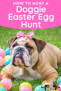 https://www.thedogbakery.com/cdn/shop/articles/how_to_host_a_doggie_easter_egg_hunt_main_image_300x300.png?v=1555353663