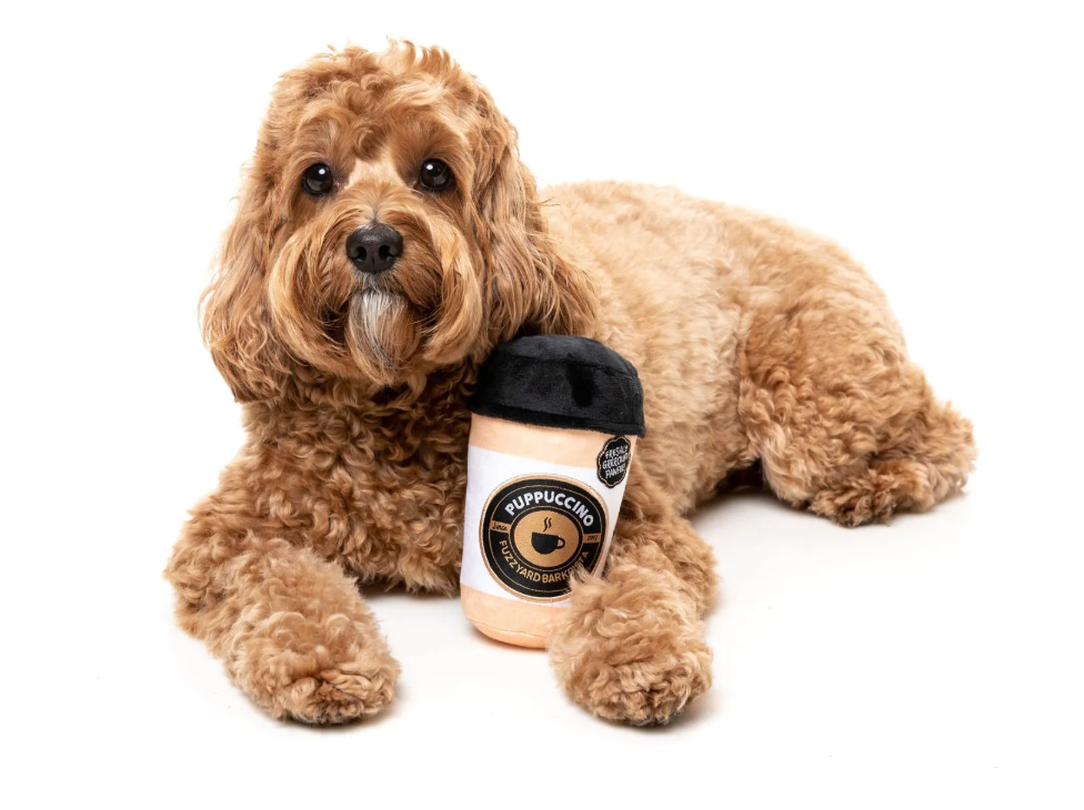 FuzzYard Puppuccino Dog Toy