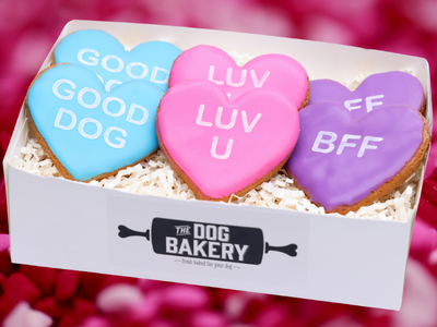 Valentine Conversation Heart Cookies for Dogs