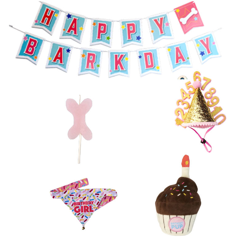 Doggie Birthday Accessory Package