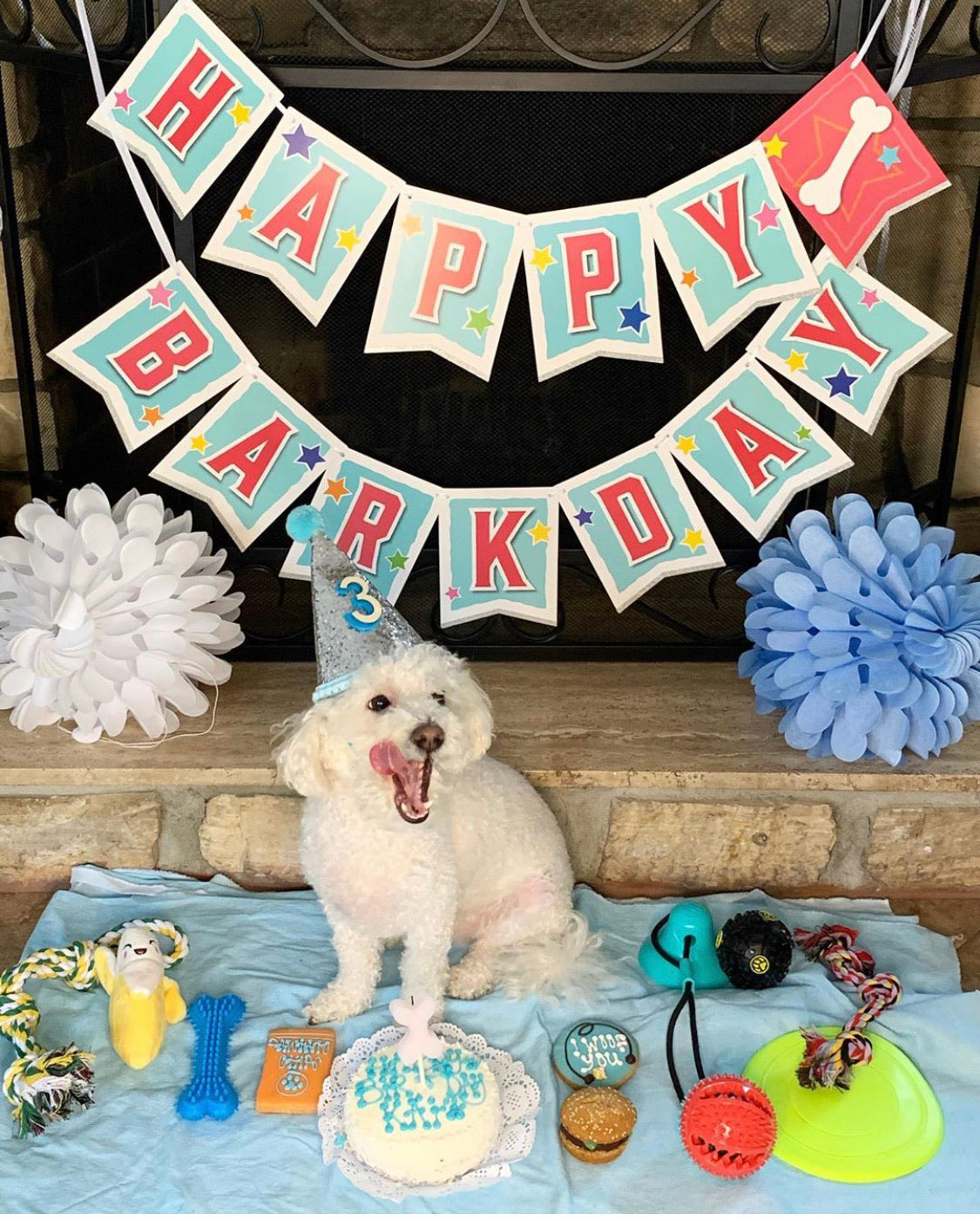 Happy Barkday banner