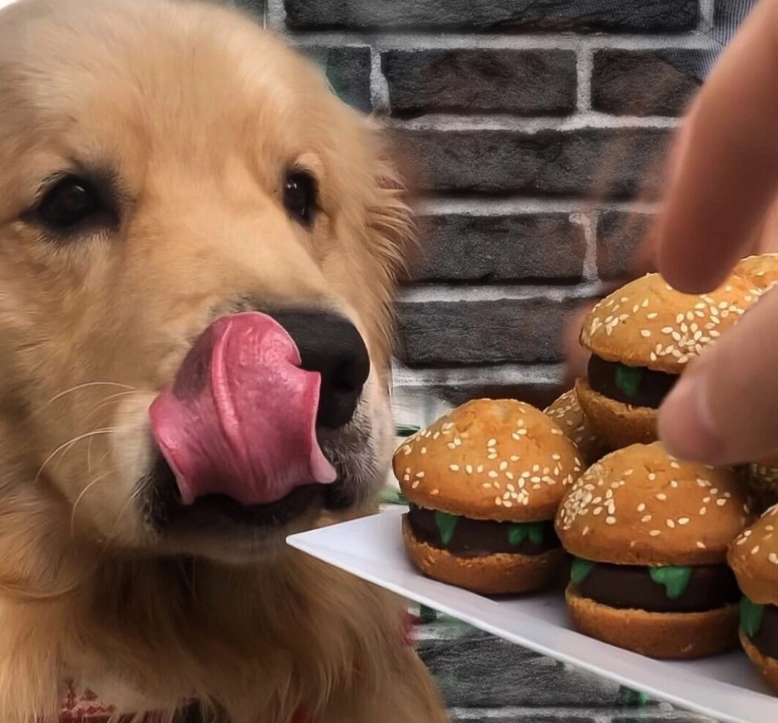 doggy cheese burger