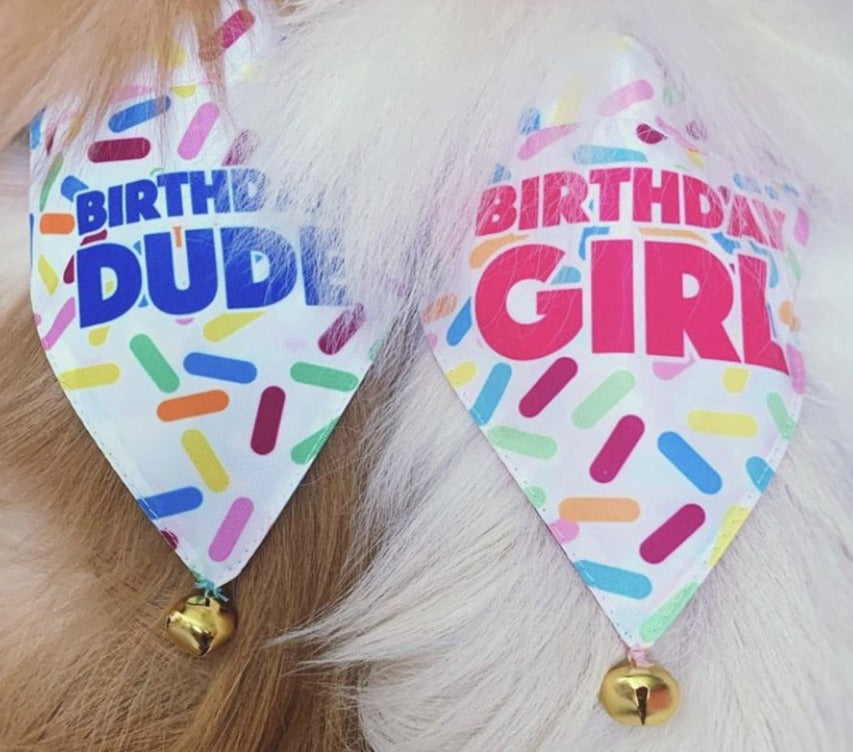 Birthday Bandanas For Dogs