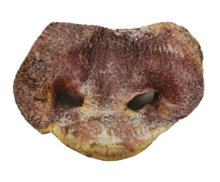 Pig Snouts Dog Chews - Freeze Dried